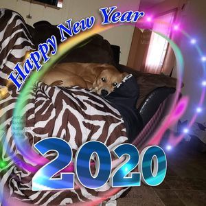 Meet your Posher, Hattie